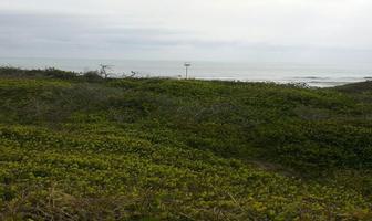 Foto de inmueble en  , Col. Cabo Rojo (Novillos) [Ganadera] C.P. 92040, Tampico Alto